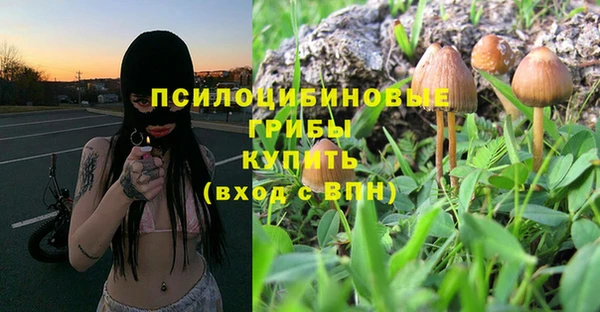 меф Каменка