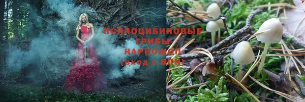 Альфа ПВП Карталы
