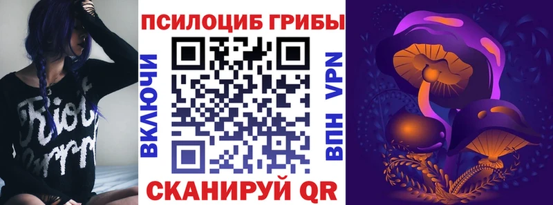 Галлюциногенные грибы Psilocybe  Чегем 